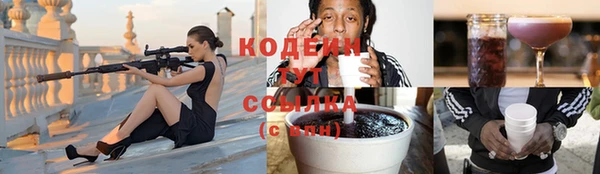 ПСИЛОЦИБИНОВЫЕ ГРИБЫ Алексин