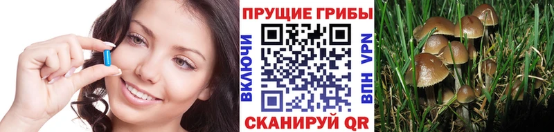 Галлюциногенные грибы Magic Shrooms  omg маркетплейс  Каневская 